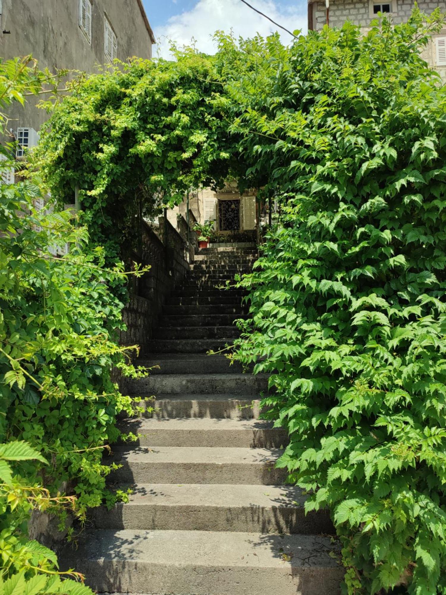 Guesthouse Zmukic Perast Exteriör bild